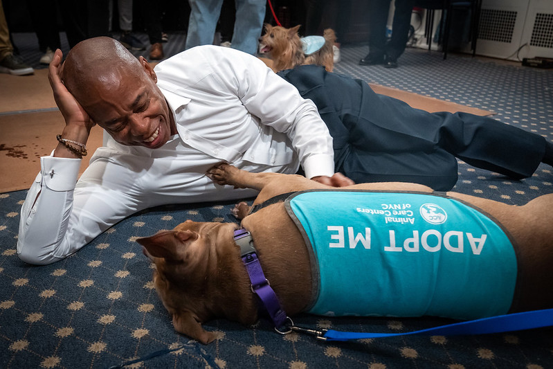 Mayor Eric Adams lying next to a playful dog that is wearing a harnes that reads adopt me.