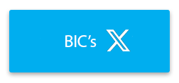 BIC's X Page