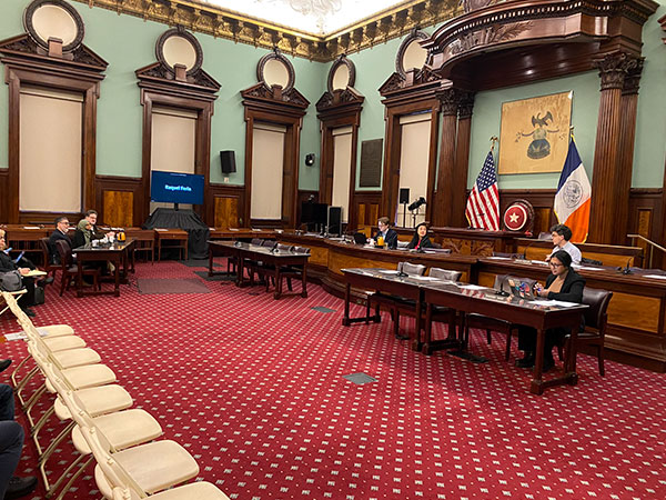 CEC Chair & Executive Director Dr. Sarah seated, testifying at the court room