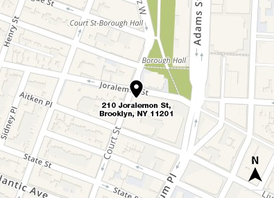 Map shows in red the location of 210 Joralemon Street in Brooklyn and a small area of the surrounding streets Map shows in red the location of 210 Joralemon Street in Brooklyn and a small area of the surrounding streets
