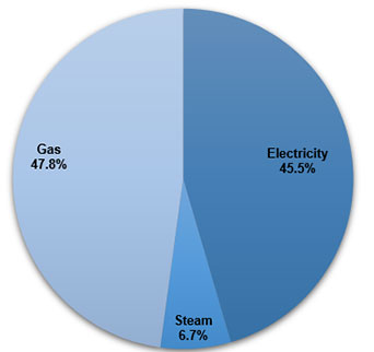 FY 21 City Government Utility Energy Budget Usage by Energy Type Pie chart indicating the City of New York’s total energy use, divided by three types of energy source. Steam makes up 6.7%, gas makes up 47.8%, and electricity makes up 45.5% of the City’s energy use.
