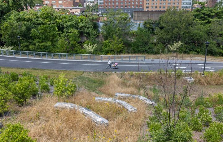 New bridge in starlight park
