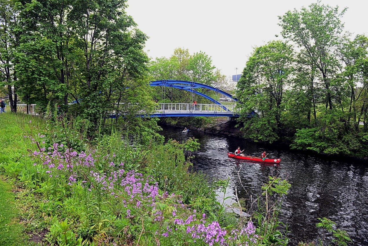 A restored section of the Bronx River Greenway in Starlight Park