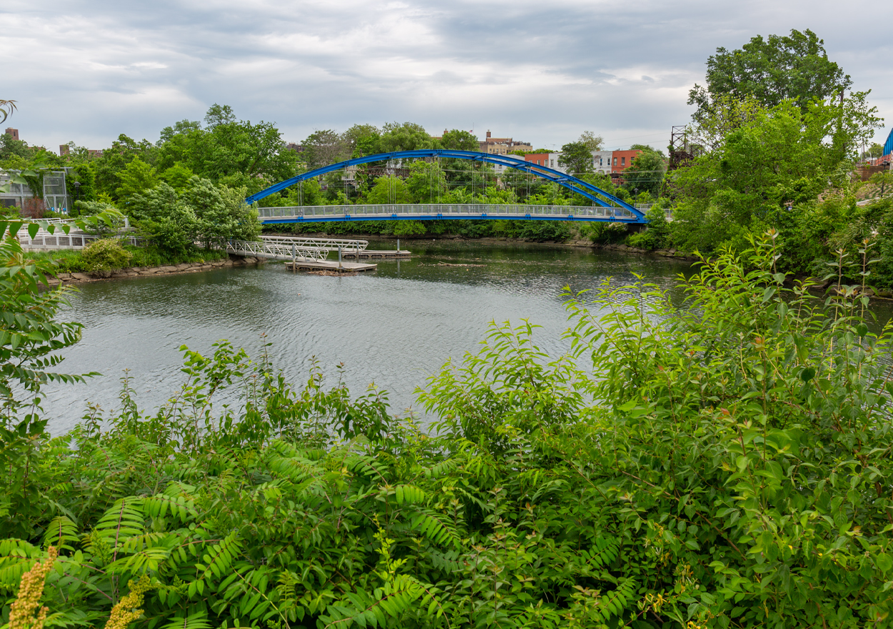 Bronx River Greenway featuring bridge at Starlight Park