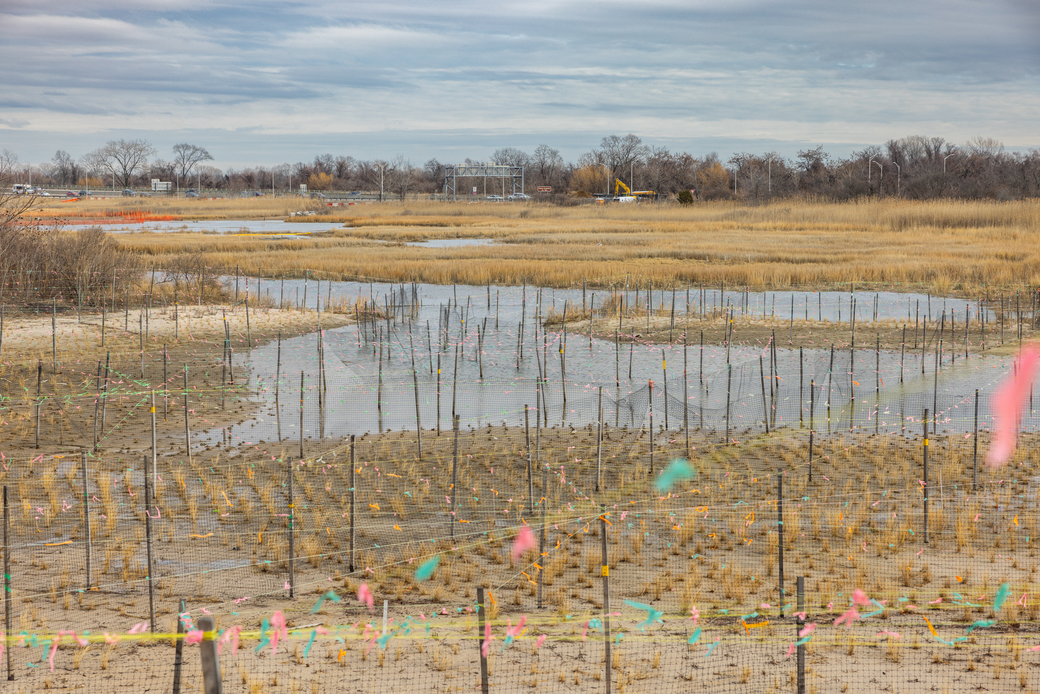 view of wetland with flag markers