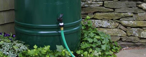 Rain Barrels