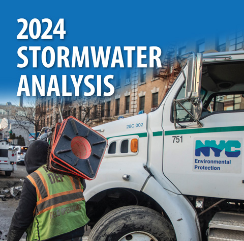 Logo for 2024 Stormwater Analysis