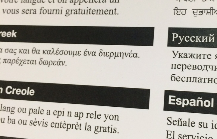 Language Access Implementation Plan