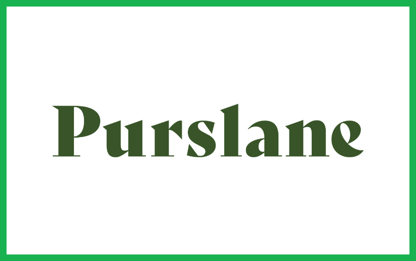 Purslane