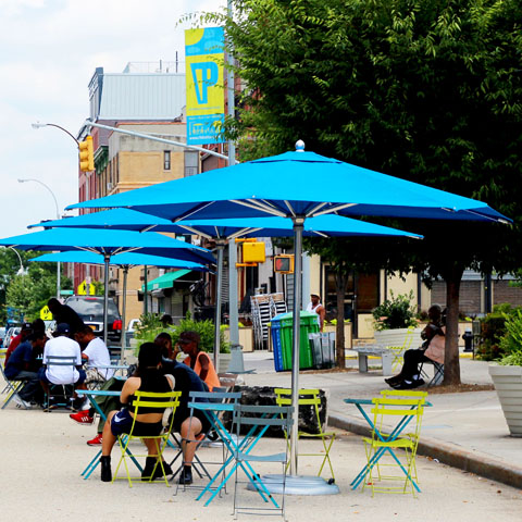 Logo for Plaza Program