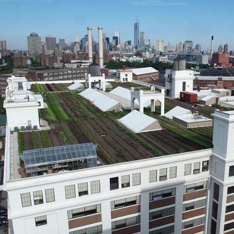 Logo for Green Infrastructure Grant Program