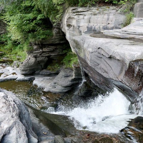 Logo for One Water NYC