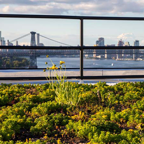 Logo for Resilient NYC Partners