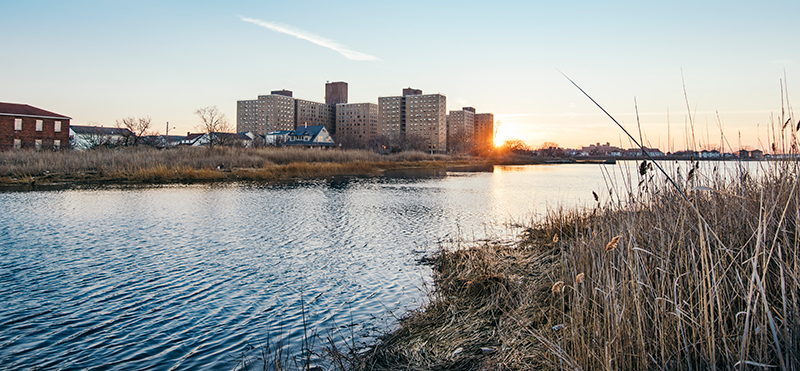Resilient Edgemere Queens image