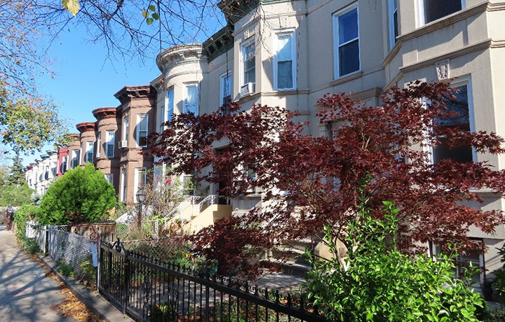 Photo of Houses at East Flatbush