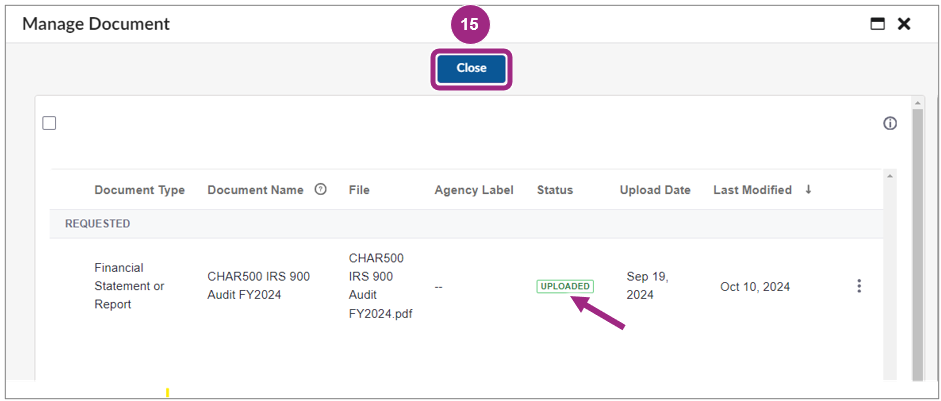 The Manage Document screen shows a files has been successfully uploaded.