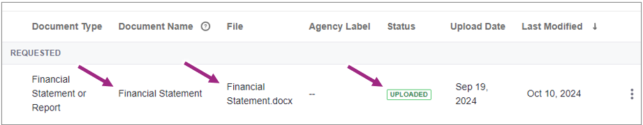 The Manage Documents window shows a Financial Statement was successfully uploaded.