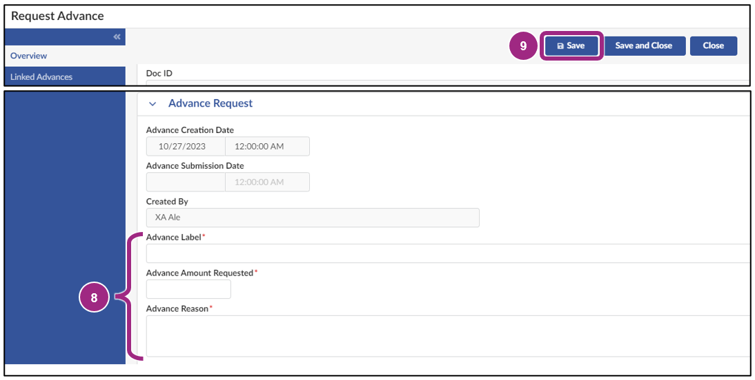 The Overview tab within the Request Advance window