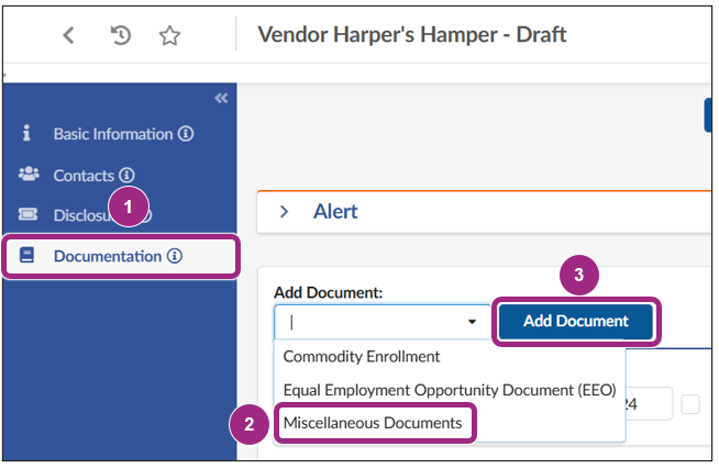 The Documentation tab.