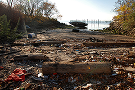 The Gravesend shoreline where body parts were discovered The Gravesend shoreline where body parts were discovered