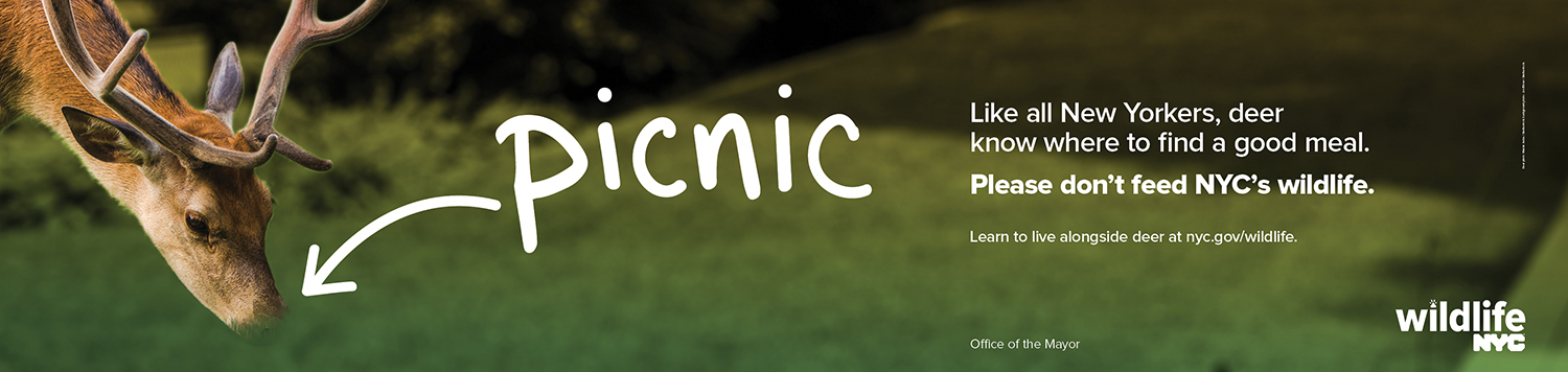 Staten Island Railway Card