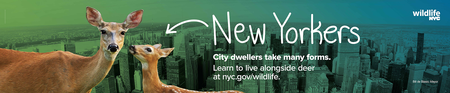 Bus King two deer in front of a city skyline with text that says City dwellers take many forms. Learn to live alongside deer at nyc.gov/wildlife.
